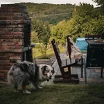 Dziki Spokoj Z Balia W Krainie Wygaslych Wulkanow Wojcieszów