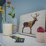 Ferienhaus Dziki Spokoj Z Balia W Krainie Wygaslych Wulkanow *
