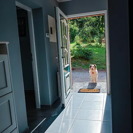 Dziki Spokój W Krainie Wygasłych Wulkanów * Wojcieszów