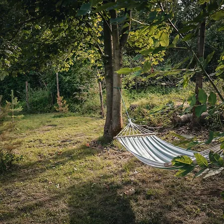 Dziki Spokój W Krainie Wygasłych Wulkanów