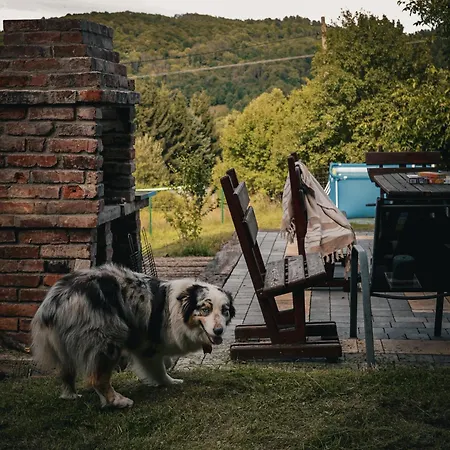 Dziki Spokoj Z Balia W Krainie Wygaslych Wulkanow Wojcieszów