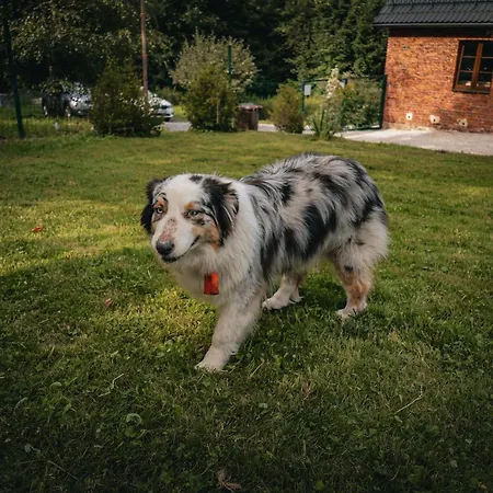Dziki Spokoj Z Balia W Krainie Wygaslych Wulkanow * Wojcieszów