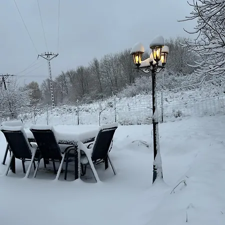 Dziki Spokój W Krainie Wygasłych Wulkanów Wojcieszów