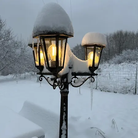 Dziki Spokój W Krainie Wygasłych Wulkanów * Wojcieszów