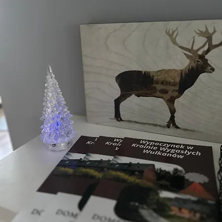 Dziki Spokoj Z Balia W Krainie Wygaslych Wulkanow * Wojcieszów