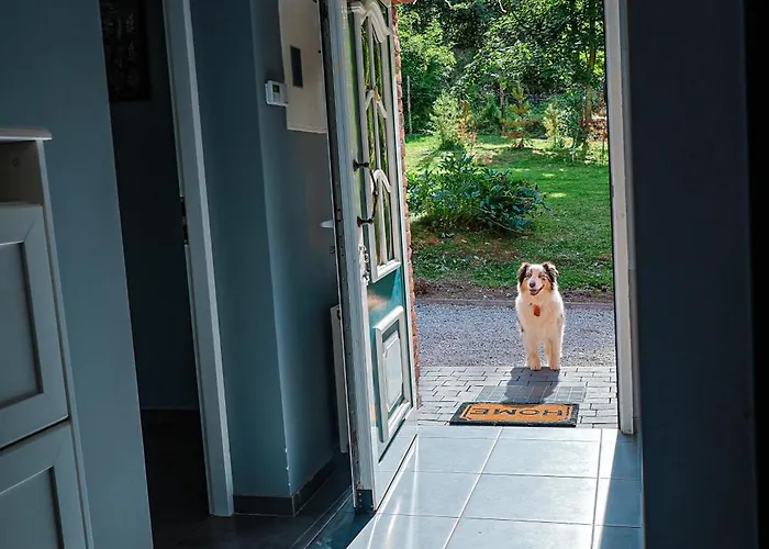 Dziki Spokoj Z Balia W Krainie Wygaslych Wulkanow * Wojcieszów