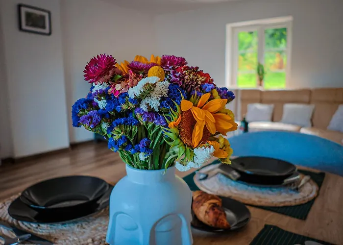 Dziki Spokoj Z Balia W Krainie Wygaslych Wulkanow * Wojcieszów