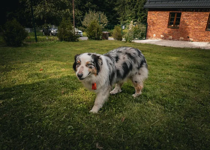 Dziki Spokoj Z Balia W Krainie Wygaslych Wulkanow * Wojcieszów