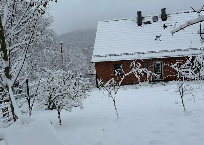بيت للعطل Dziki Spokoj Z Balia W Krainie Wygaslych Wulkanow Wojcieszów