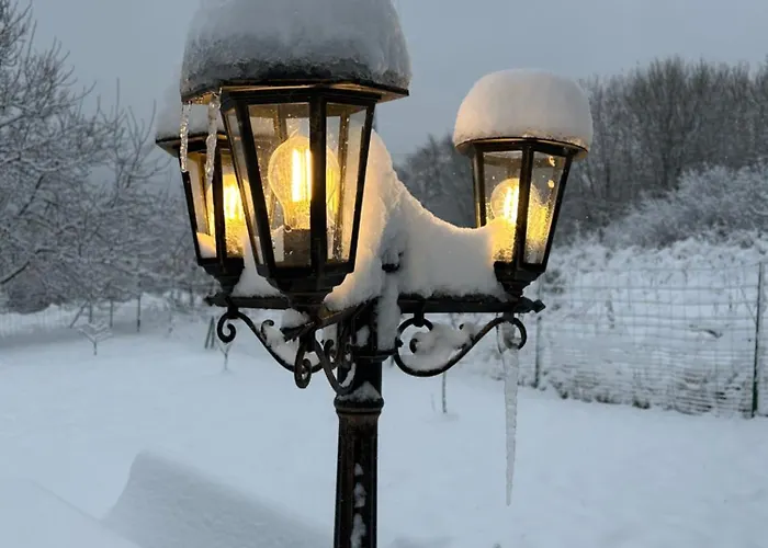 Dziki Spokoj Z Balia W Krainie Wygaslych Wulkanow * Wojcieszów