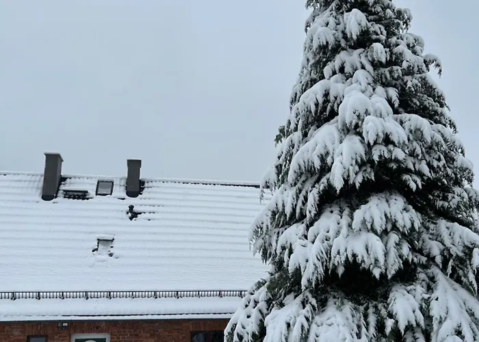 Dziki Spokoj Z Balia W Krainie Wygaslych Wulkanow